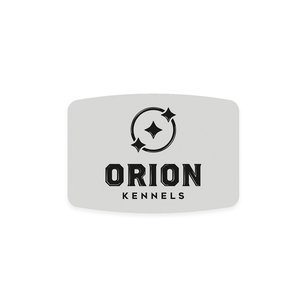 Official Brand Logo | Orion (2022) - YouTube