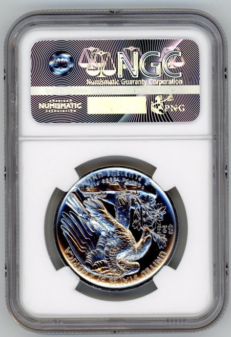 FIRST PALLADIUM US COIN 2017 EAGLE Pd $25 HIGH RELIEF NGC MS 69 PL FIRST RELEASE