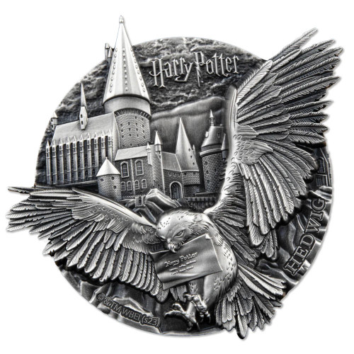 Harry Potter™ - Wizardry with Hedwig Poster