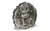 2022 Niue FIERCE NATURE Lion 2 oz Silver Coin $5