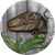  Jurassic Life Velociraptor 2025 Liberia $20 2 oz Silver Antiqued Colorized 