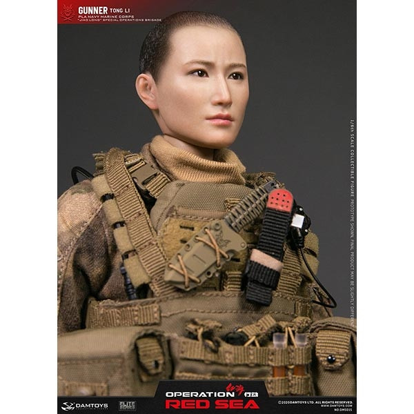 Monkey Depot - DamToys Operations Brigade Gunner Tong Li (DAM-DMS015)
