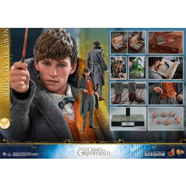 Monkey Depot - Hot Toys Fantastic Beasts Newt Scamander (904194)