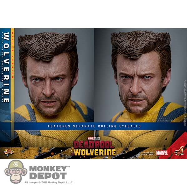 ホットトイズ ウルヴァリン デラックスバージョン Wolverine (Deluxe Version) Sixth scale Figure by Hot Toys