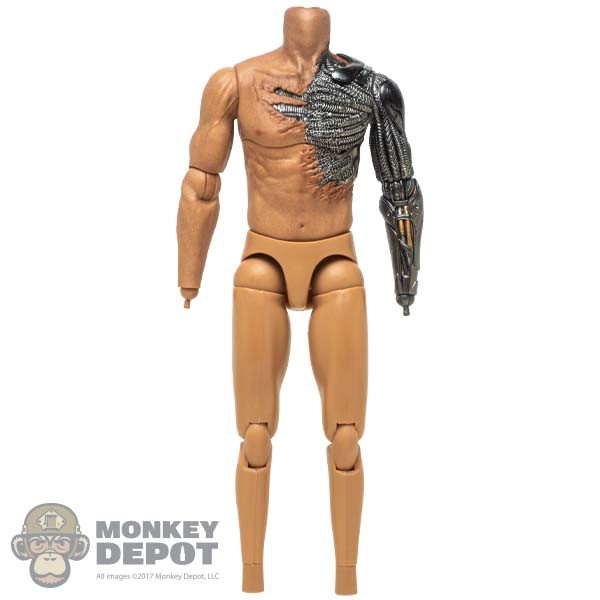 Monkey Depot - Figure: Hot Toys Cable Muscle Body
