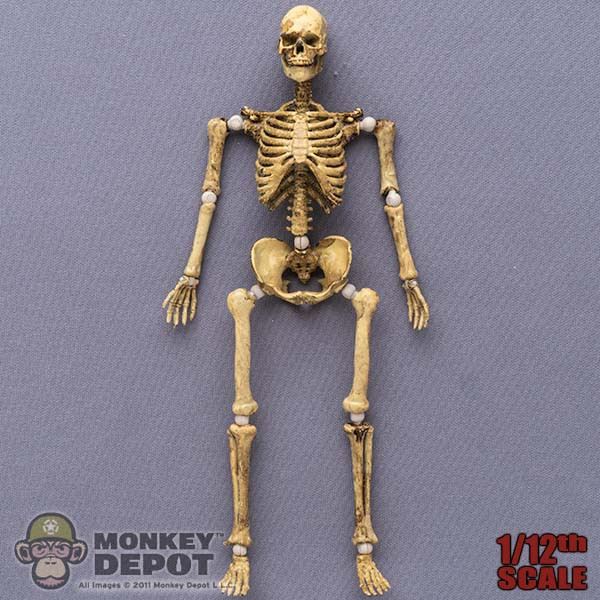 Monkey Depot - Figure: 101 Toys 1/12 Skeleton
