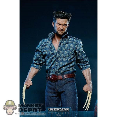 Boxed Figure: Add Toys Wolfman (AD-013)