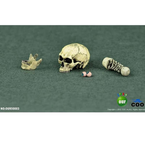 Skull: Coo Models 1/6 Skull Yellow/White