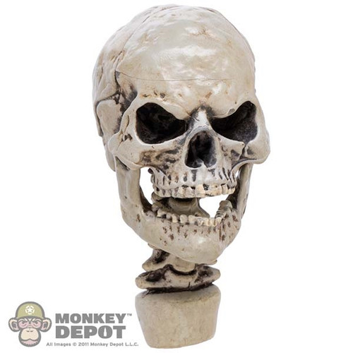 Head: Coo Models Skull w/ Spine