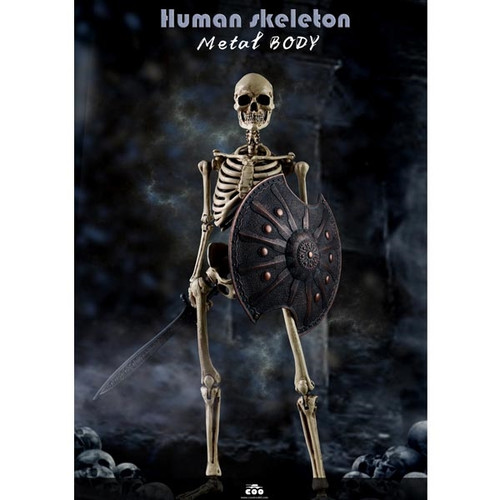 Boxed Figure: COO Models The Human Skeleton (Diecast Alloy) (CM-BS011)
