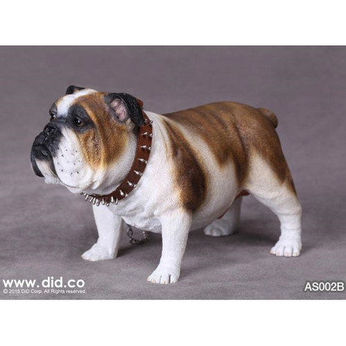 Dog: DiD British Bulldog (AS002B)