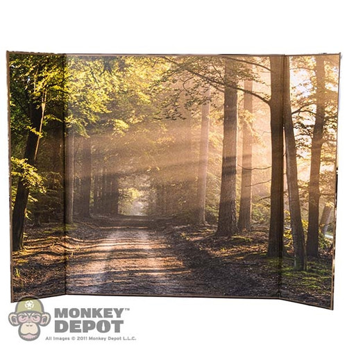 Display: DiD Road To Nowhere At Dawn Backdrop (18.5" X 13.5") (READ NOTES)