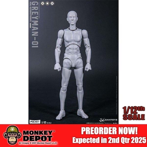 PREORDER Boxed Figure: DamToys 1/12th Action Figure - GREYMAN (DAM-DPS11)
