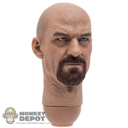 Head: DamToys Bryan Cranston