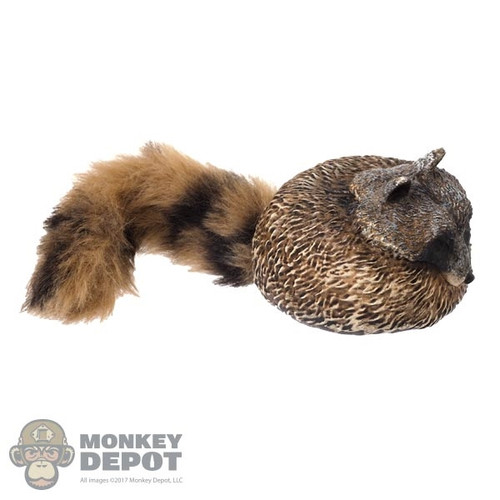 Hat: DamToys Mens Molded Coonskin Cap
