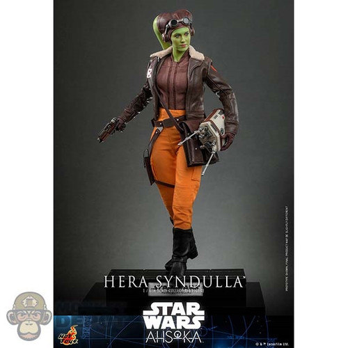 Boxed Figure: Hot Toys Hera Syndulla (TMS113)