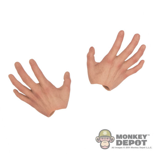 Hands: Hot Toys Open Action