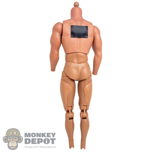Figure: Hot Toys Gladiator Thor Base Body w/Magnet