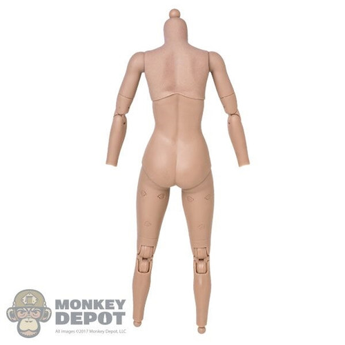 Body: Hot Toys Leia Organa Base Body