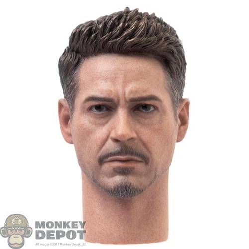 Head: Hot Toys Avengers: Endgame Tony Stark (Team Suit)
