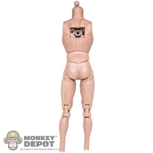Figure: Hot Toys Male Nude Body (NO ARMS)