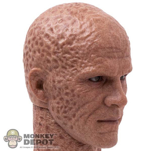 Head: Hot Toys Unmasked Deadpool w/ Neck (Battling Version)