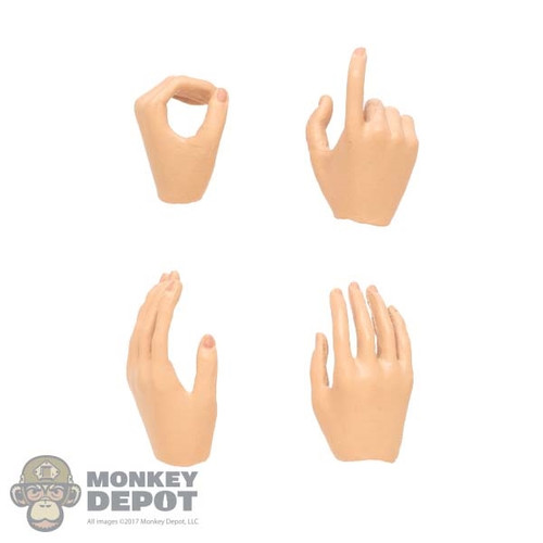 Hands: Modeling Toys Female Hand Set