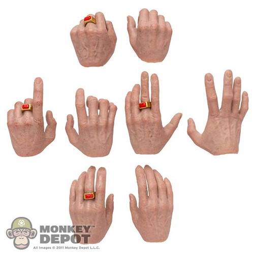 Hands: SFL Studio Mens 8 Piece Ringed Hand Set (READ NOTES)