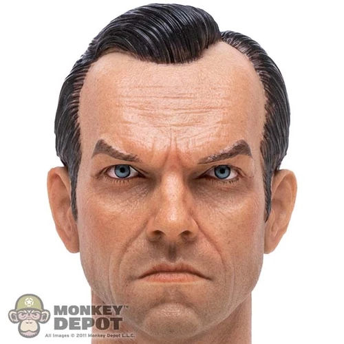 Head: Tiger Toys Schmidt