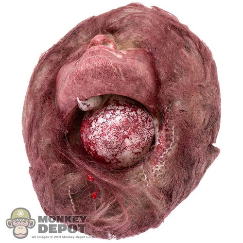 Organ: Why Studio Severed Head