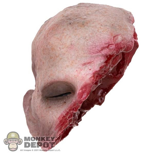 Head: Asmus Toys Half of Uncle Tommy's Head (ASL0203)