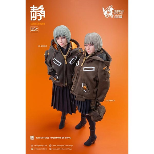 Coat: I8Toys Serene Hound Troop Combat Jacket (I8-SH001)