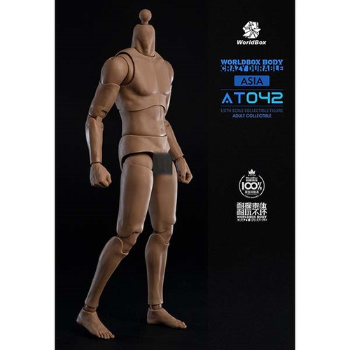 PREORDER Nude Figure: World Box Asian Narrow Shoulders Body (WB-AT042)