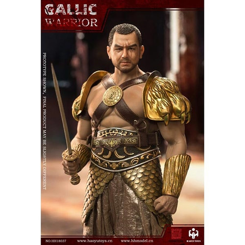 Boxed Figure: HY Toys Hunting Ground Fighter Gaul Warrior Silver or Gold