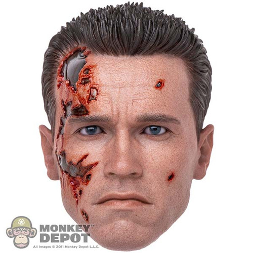 Head: Hot Toys Battle Damaged T-800 Arnold w/ Rolling Eyes