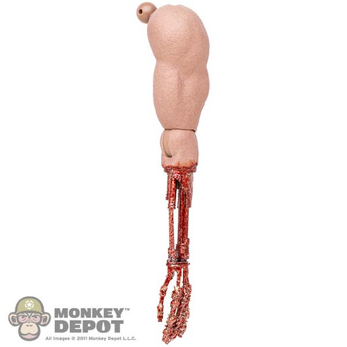 Limb: Hot Toys Battle Damaged T-800 Endoskeleton Left Arm