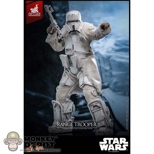 No Brown Shipper Box: Hot Toys Range Trooper (MMS768)