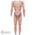 Figure: Facepool Male Base Body (Stained)