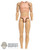 Figure: Alert Line Base Body (READ NOTES)