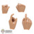 Hands: Brown Art Mens Hand Set