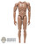 Figure: CC Toys Base Body w/Hands