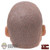 Head: CrazyFigure 1/12 Bruce