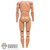 STAINED Figure: China Model Mens Nude Base Body