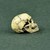 Skull: Coo Models 1/6 Skull Yellow/White