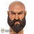 Head: Coo Models Bearded Templar