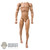 Figure: Coo Models Standard Tall Nude Body w/Hands & Feet