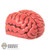 Organ: Coo Models 1/6th Brain