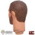 STAINED Head: Coo Models 1/12th Bors (READ NOTES)