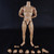 Figure: COO Models Muscle Male Body 9.84" (CM-BD009)