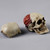 Boxed Figure: COO Models The Human Skeleton (Diecast Alloy) (CM-BS011)